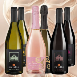 Box degustazione "FERMI &...